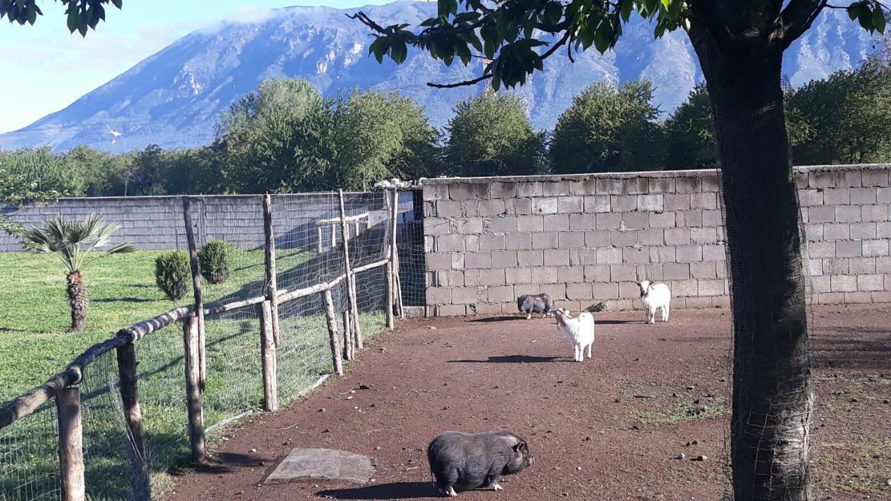 Hotel Agriturismo Carlo Cioffi Rotondi Exteriér fotografie